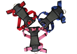 multicolor dog harness